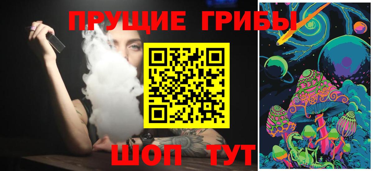 где найти   Вход с VPN  Лысьва  Псилоцибиновые грибы Cubensis 